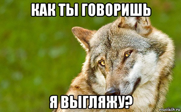 как ты говоришь я выгляжу?, Мем   Volf