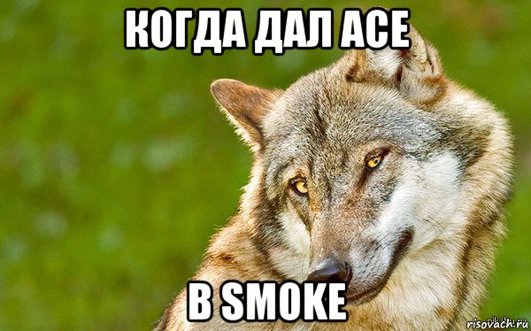 когда дал ace в smoke, Мем   Volf