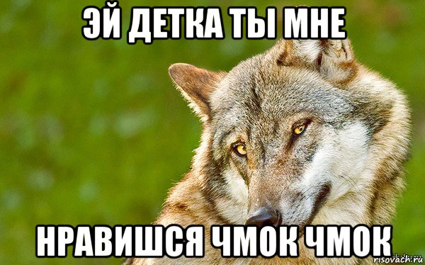 эй детка ты мне нравишся чмок чмок, Мем   Volf