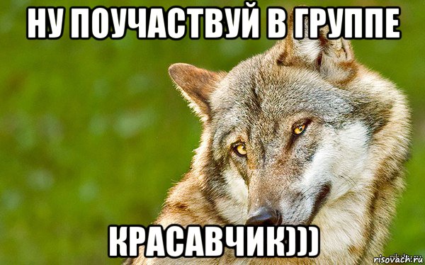 ну поучаствуй в группе красавчик))), Мем   Volf