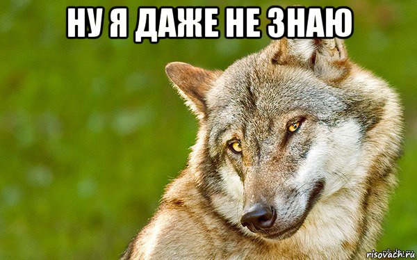 ну я даже не знаю , Мем   Volf