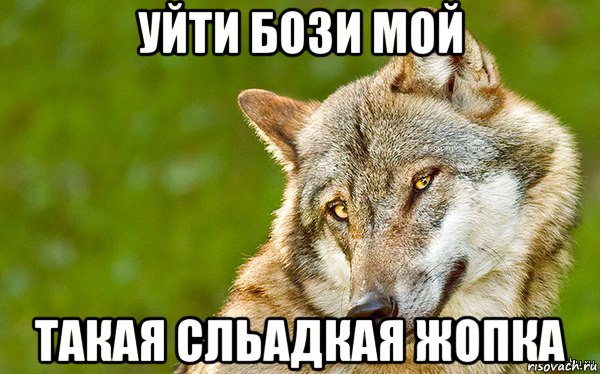 уйти бози мой такая сльадкая жопка, Мем   Volf