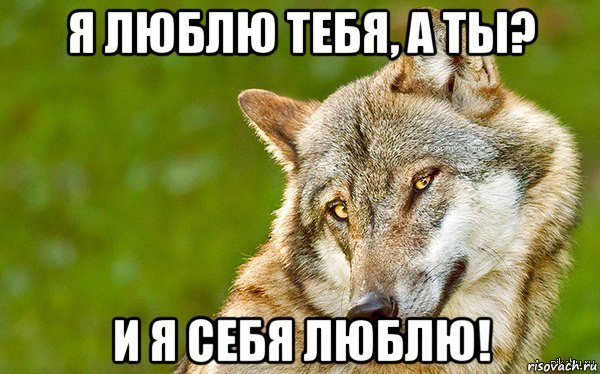 я люблю тебя, а ты? и я себя люблю!, Мем   Volf