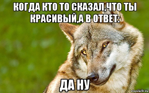 когда кто то сказал,что ты красивый,а в ответ: да ну, Мем   Volf