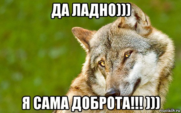 да ладно))) я сама доброта!!! ))), Мем   Volf