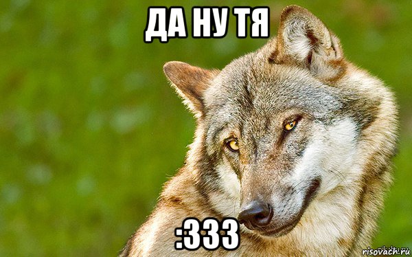 да ну тя :333, Мем   Volf