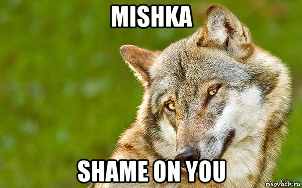 mishka shame on you, Мем   Volf