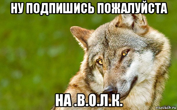 ну подпишись пожалуйста на .в.о.л.к., Мем   Volf