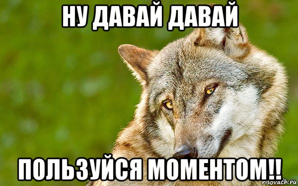 ну давай давай пользуйся моментом!!, Мем   Volf