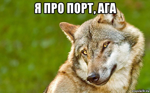 я про порт, ага , Мем   Volf