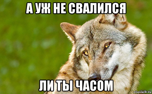 а уж не свалился ли ты часом, Мем   Volf