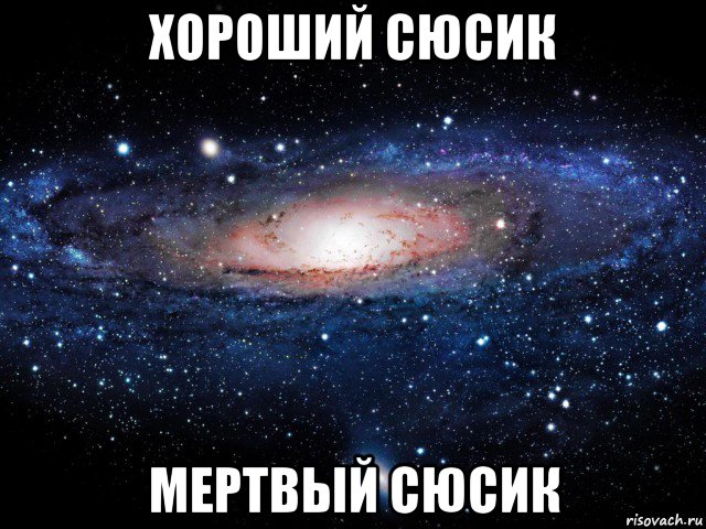 хороший сюсик мертвый сюсик, Мем Вселенная