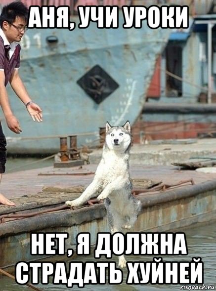 аня, учи уроки нет, я должна страдать хуйней