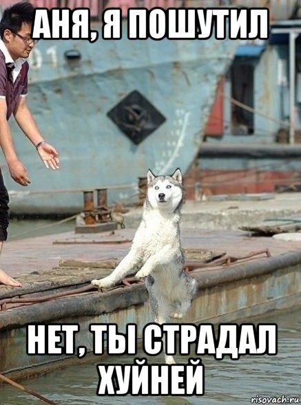 аня, я пошутил нет, ты страдал хуйней