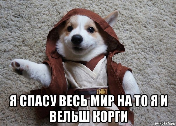  я спасу весь мир на то я и вельш корги