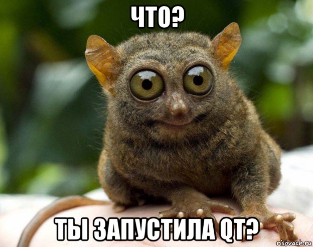 что? ты запустила qt?