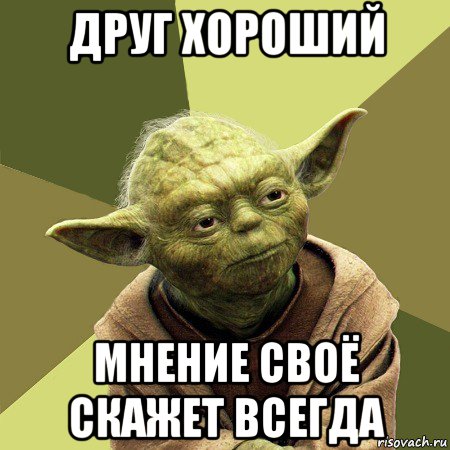 друг хороший мнение своё скажет всегда, Мем Йода