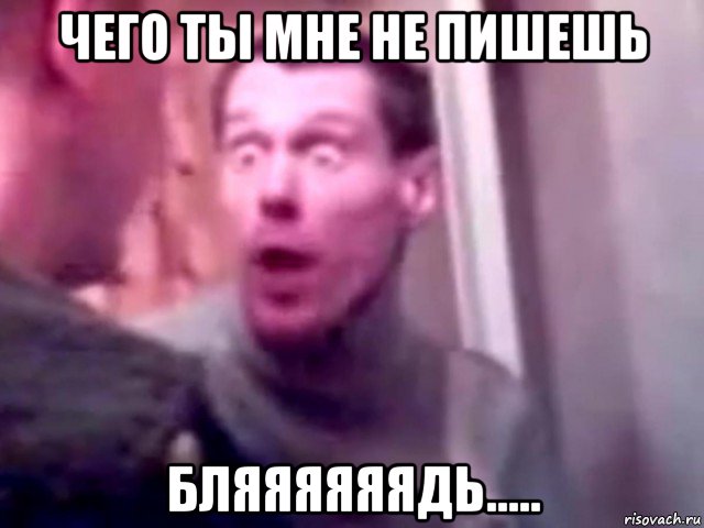 чего ты мне не пишешь бляяяяяядь....., Мем Запили