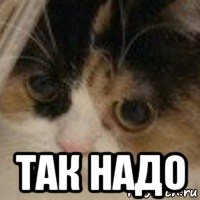  так надо, Мем Затем