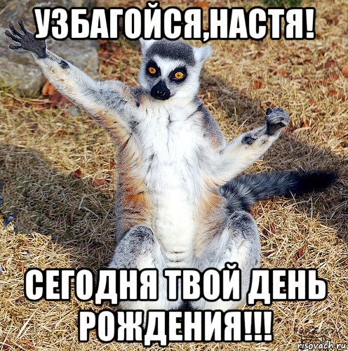 узбагойся,настя! сегодня твой день рождения!!!