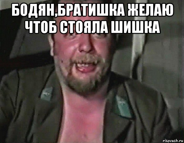 бодян,братишка желаю чтоб стояла шишка 
