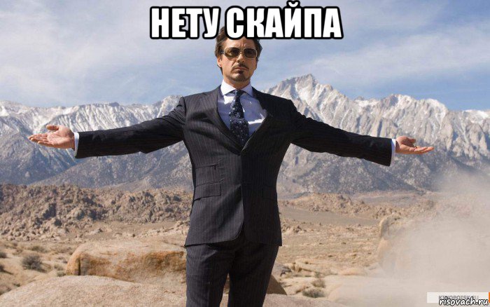 нету скайпа , Мем железный человек