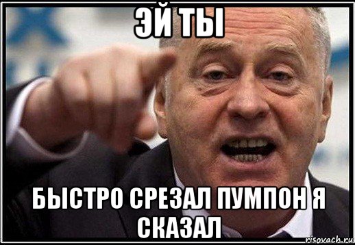 эй ты быстро срезал пумпон я сказал, Мем жириновский ты