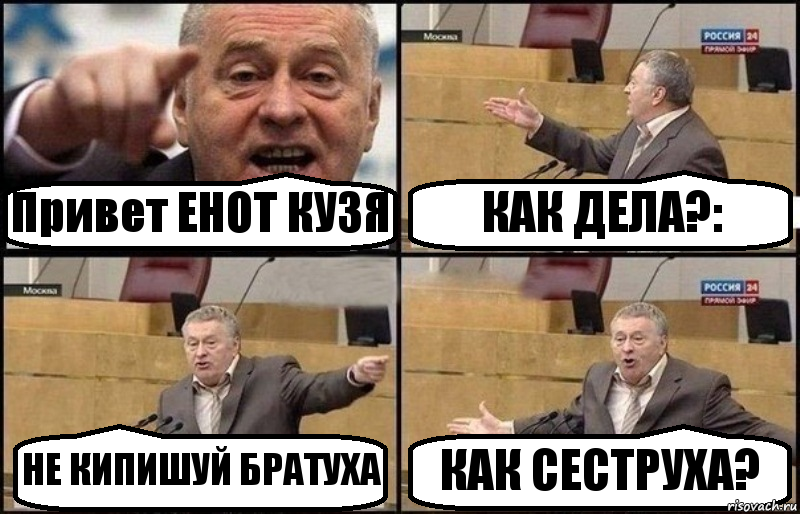 Привет ЕНОТ КУЗЯ КАК ДЕЛА?: НЕ КИПИШУЙ БРАТУХА КАК СЕСТРУХА?, Комикс Жириновский