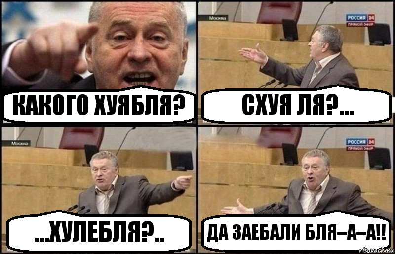 КАКОГО ХУЯБЛЯ? СХУЯ ЛЯ?... ...ХУЛЕБЛЯ?.. ДА ЗАЕБАЛИ БЛЯ–А–А!!, Комикс Жириновский