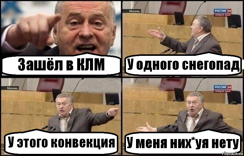 Зашёл в КЛМ У одного снегопад У этого конвекция У меня них*уя нету, Комикс Жириновский