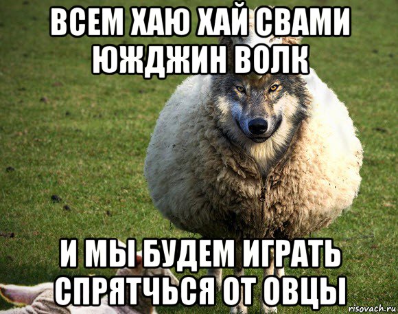 всем хаю хай свами южджин волк и мы будем играть спрятчься от овцы, Мем Злая Овца