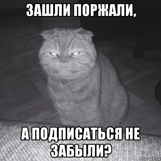 зашли поржали, а подписаться не забыли?, Мем Злой кот