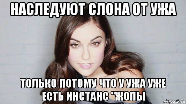 наследуют слона от ужа только потому что у ужа уже есть инстанс "жопы, Мем 50 оттенков серого