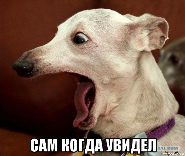  сам когда увидел