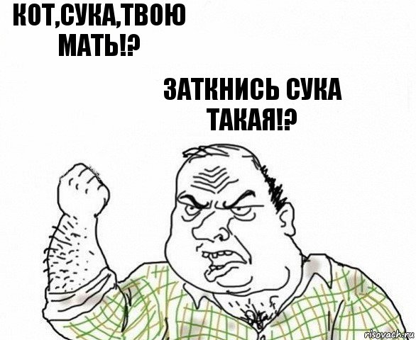 кот,сука,твою мать!? заткнись сука такая!?