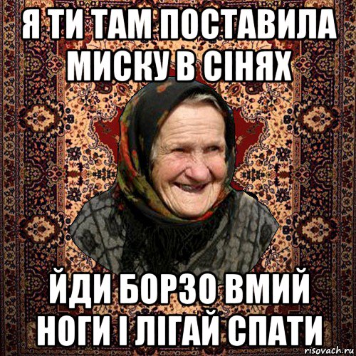 я ти там поставила миску в сінях йди борзо вмий ноги і лігай спати, Мем баба нюра