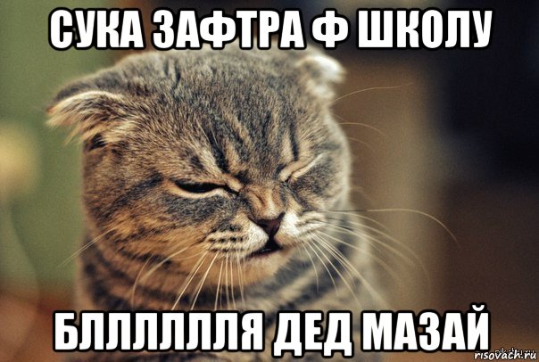 сука зафтра ф школу блллллля дед мазай, Мем Бля кто я где что вчера было Как