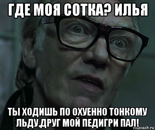 где моя сотка? илья ты ходишь по охуенно тонкому льду,друг мой педигри пал!