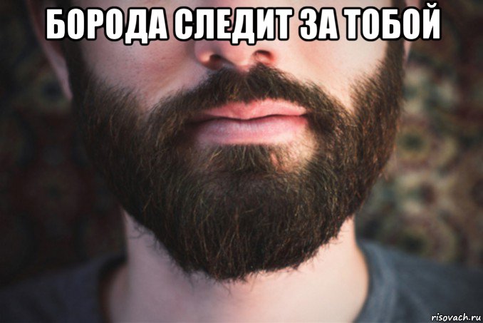 борода следит за тобой 