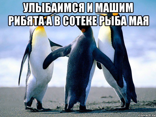 улыбаимся и машим рибята а в сотеке рыба мая 