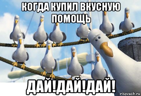 когда купил вкусную помощь дай!дай!дай!