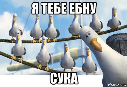 я тебе ебну сука