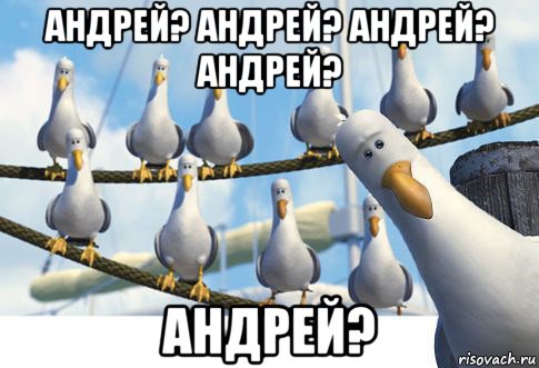 андрей? андрей? андрей? андрей? андрей?