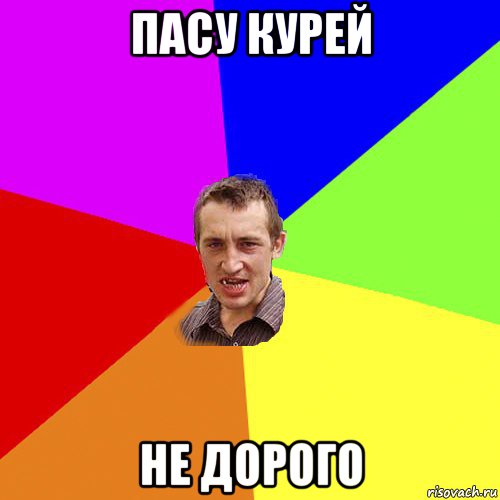 пасу курей не дорого, Мем Чоткий паца