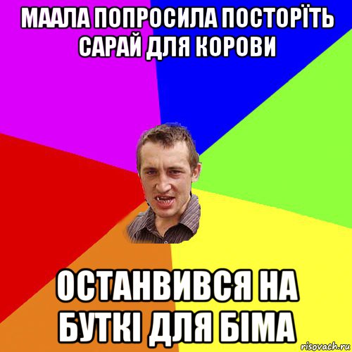 маала попросила посторїть сарай для корови останвився на буткі для біма, Мем Чоткий паца