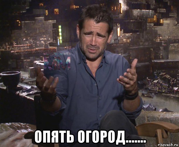  опять огород.......