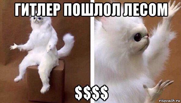 гитлер пошлол лесом $$$$, Мем Чучело кота