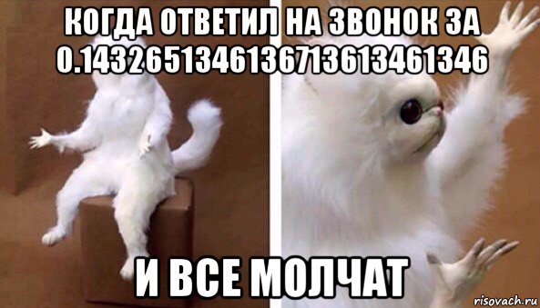 когда ответил на звонок за 0.1432651346136713613461346 и все молчат, Мем Чучело кота