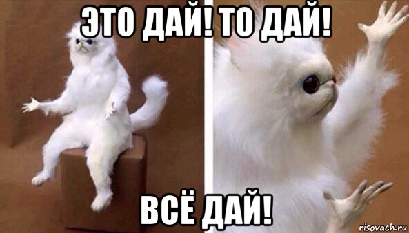 это дай! то дай! всё дай!, Мем Чучело кота