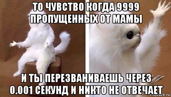 то чувство когда 9999 пропущенных от мамы и ты перезваниваешь через 0.001 секунд и никто не отвечает, Мем Чучело кота